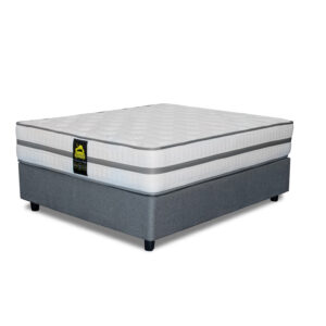 Premier Plus 150 King Base Set