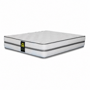 Premier Plus 150 Queen Mattress Only